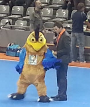 fenixou