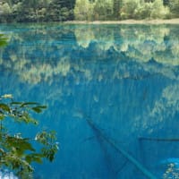 Bleu totalement naturel ?