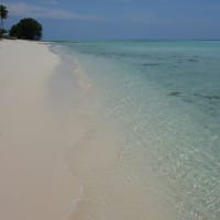 Une plage normale.