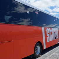 Le bus orange Stray.