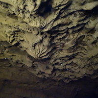 Glow worms