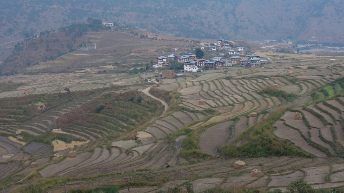 De Phobjikha à Punakha – 12 novembre 2014